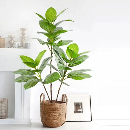 Fausses branches de figuier