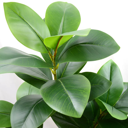 Fausses branches de figuier