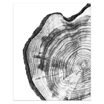 Affiche Décorative Nature – Toile Cercles de Bois d’Arbre