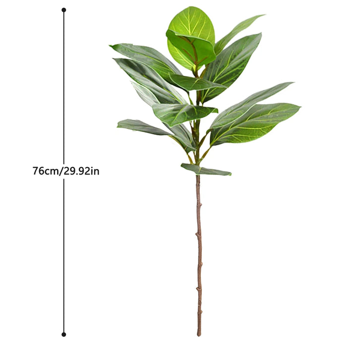 Fausses branches de figuier