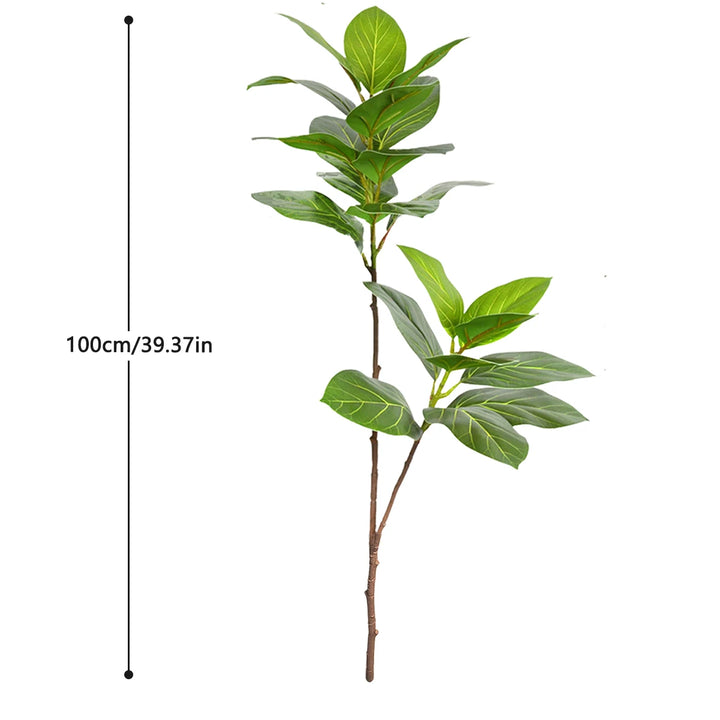 Fausses branches de figuier