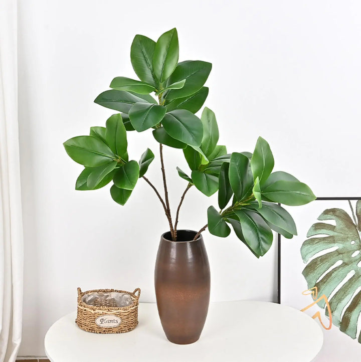 Fausses branches de figuier