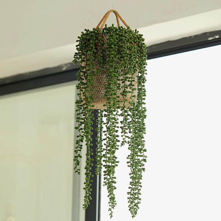 Faux lierre succulent