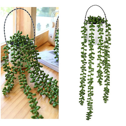 Faux lierre succulent