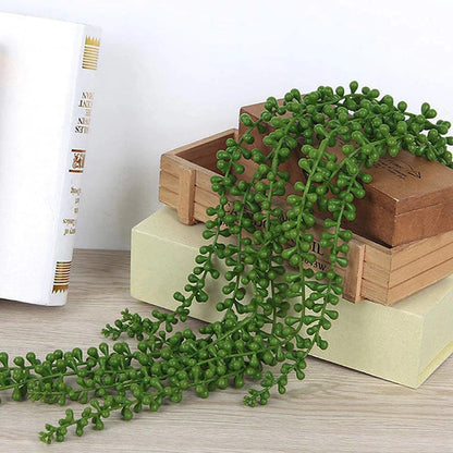 Faux lierre succulent