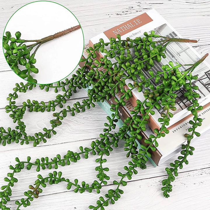 Faux lierre succulent