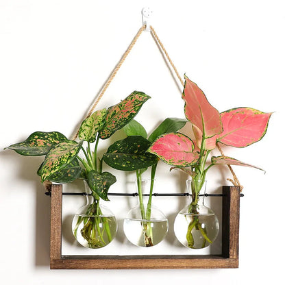 Support de propagation – Charme naturel et design élégant