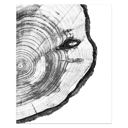 Affiche Décorative Nature – Toile Cercles de Bois d’Arbre