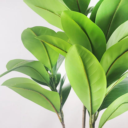Fausses branches de figuier