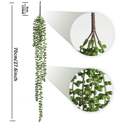 Faux lierre succulent